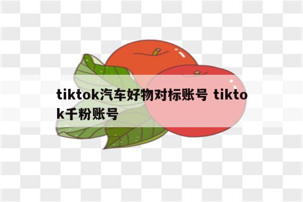 tiktok汽车好物对标账号 tiktok千粉账号