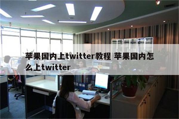 苹果国内上twitter教程 苹果国内怎么上twitter