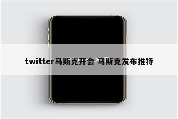 twitter马斯克开会 马斯克发布推特