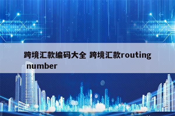 跨境汇款编码大全 跨境汇款routing number