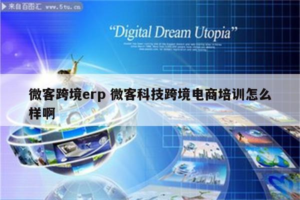 微客跨境erp 微客科技跨境电商培训怎么样啊