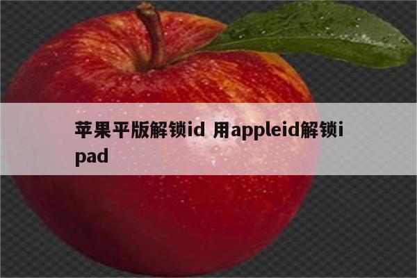 苹果平版解锁id 用appleid解锁ipad