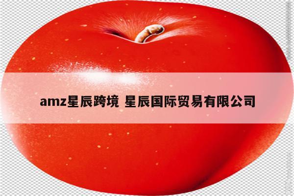 amz星辰跨境 星辰国际贸易有限公司