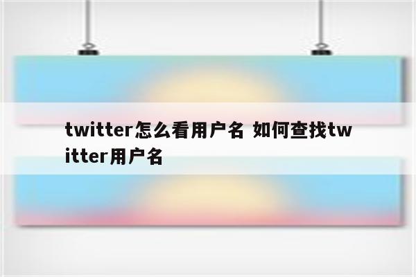 twitter怎么看用户名 如何查找twitter用户名