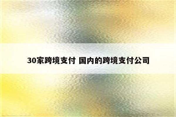 30家跨境支付 国内的跨境支付公司