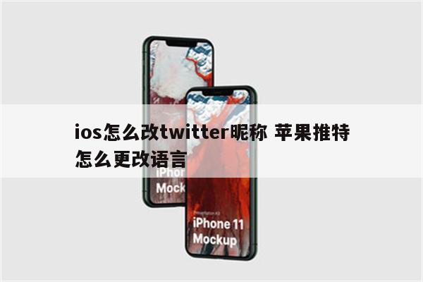 ios怎么改twitter昵称 苹果推特怎么更改语言