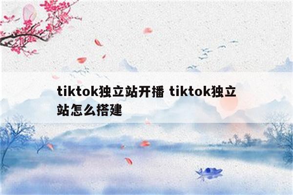 tiktok独立站开播 tiktok独立站怎么搭建