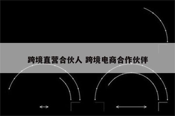 跨境直营合伙人 跨境电商合作伙伴