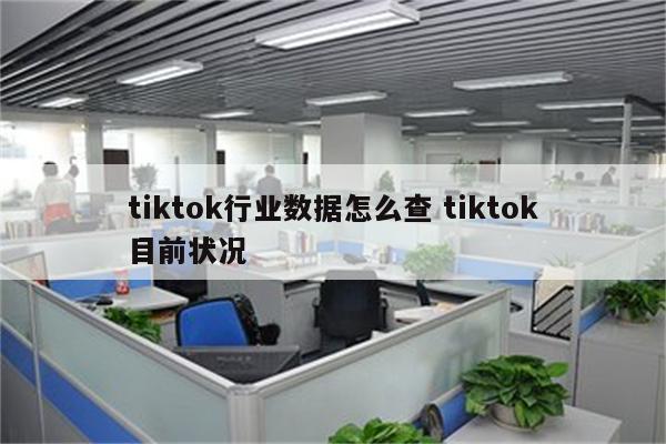 tiktok行业数据怎么查 tiktok目前状况