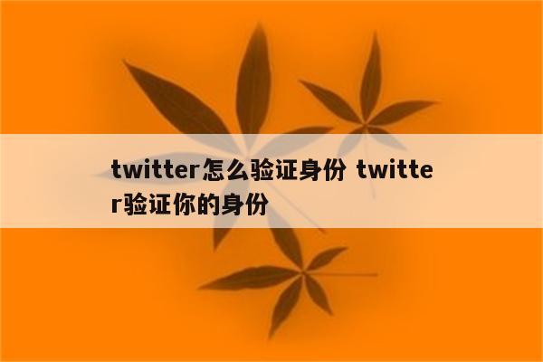 twitter怎么验证身份 twitter验证你的身份