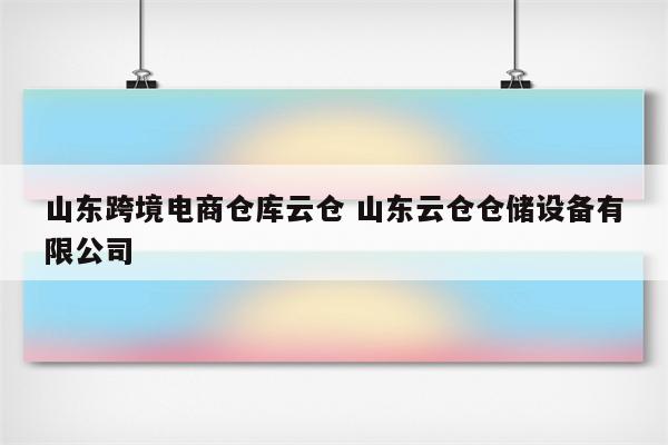 山东跨境电商仓库云仓 山东云仓仓储设备有限公司