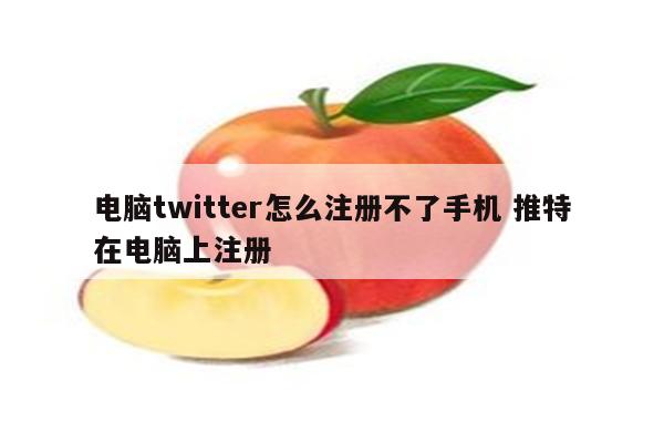 电脑twitter怎么注册不了手机 推特在电脑上注册