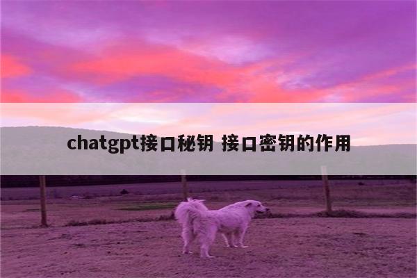 chatgpt接口秘钥 接口密钥的作用