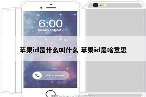 苹果id是什么叫什么 苹果id是啥意思