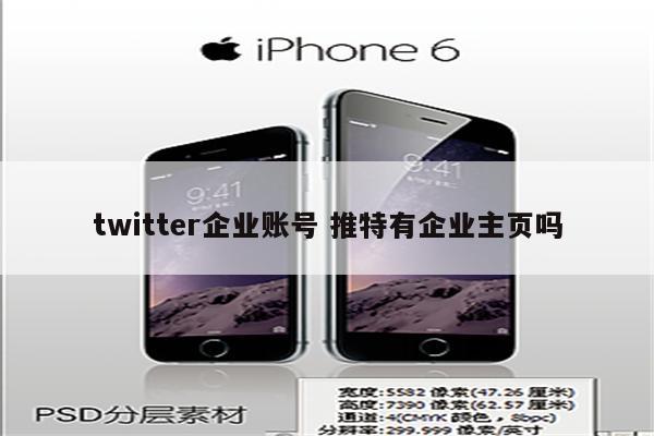 twitter企业账号 推特有企业主页吗