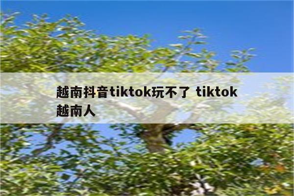 越南抖音tiktok玩不了 tiktok越南人