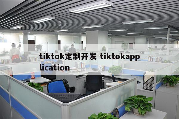 tiktok定制开发 tiktokapplication