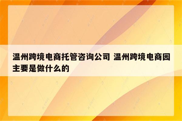 温州跨境电商托管咨询公司 温州跨境电商园主要是做什么的