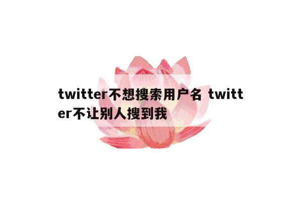 twitter不想搜索用户名 twitter不让别人搜到我