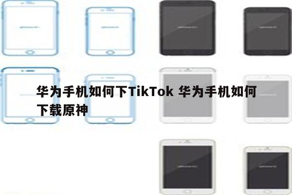 华为手机如何下TikTok 华为手机如何下载原神