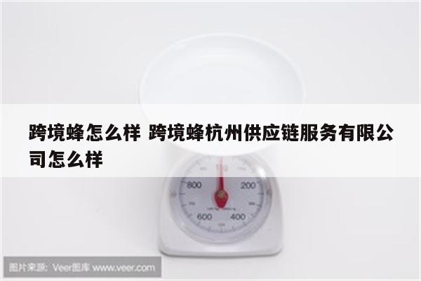 跨境蜂怎么样 跨境蜂杭州供应链服务有限公司怎么样