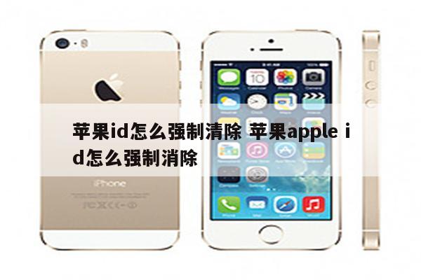 苹果id怎么强制清除 苹果apple id怎么强制消除