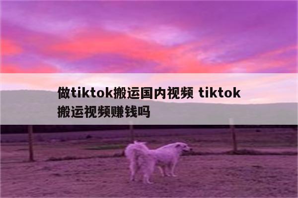 做tiktok搬运国内视频 tiktok搬运视频赚钱吗