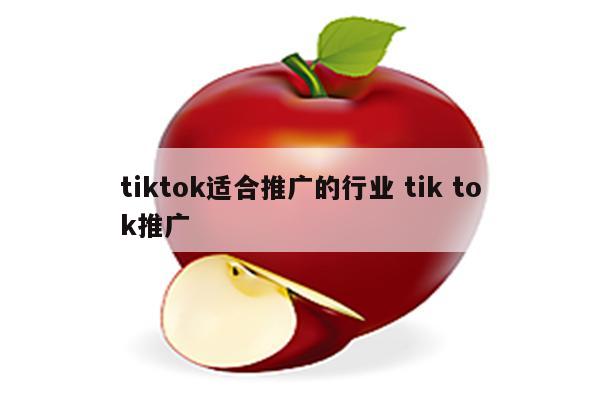 tiktok适合推广的行业 tik tok推广