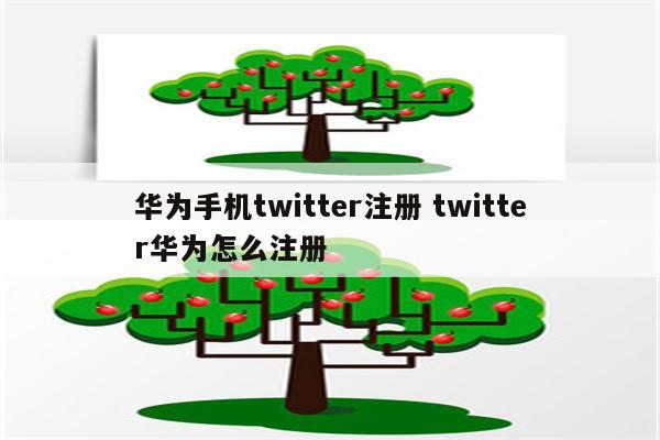 华为手机twitter注册 twitter华为怎么注册