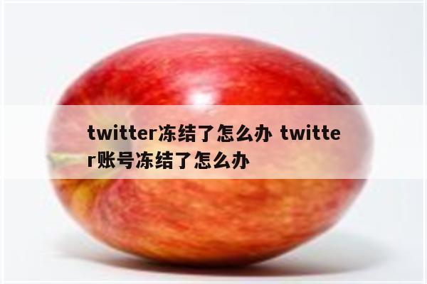 twitter冻结了怎么办 twitter账号冻结了怎么办