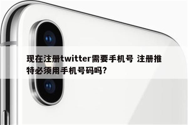 现在注册twitter需要手机号 注册推特必须用手机号码吗?