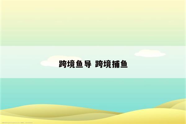 跨境鱼导 跨境捕鱼