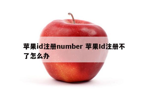 苹果id注册number 苹果Id注册不了怎么办