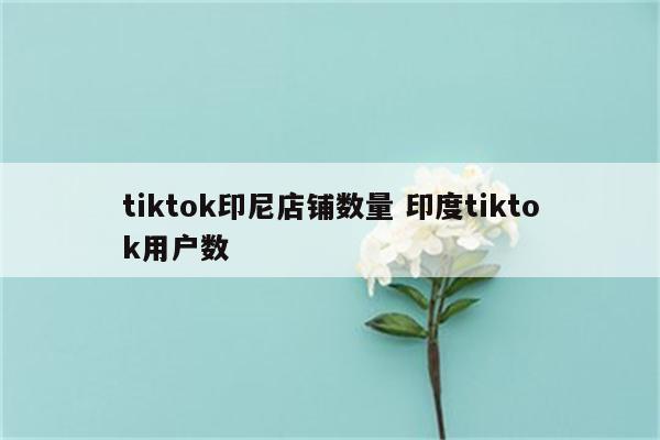 tiktok印尼店铺数量 印度tiktok用户数