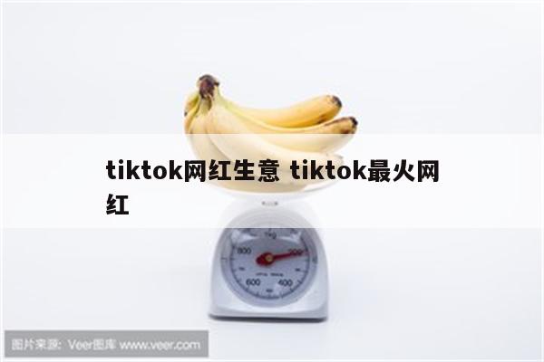 tiktok网红生意 tiktok最火网红