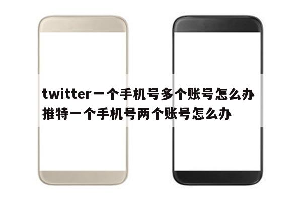 twitter一个手机号多个账号怎么办 推特一个手机号两个账号怎么办