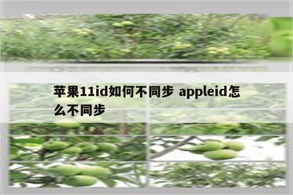 苹果11id如何不同步 appleid怎么不同步