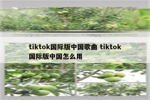 tiktok国际版中国歌曲 tiktok国际版中国怎么用