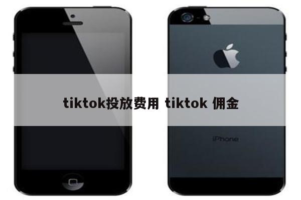 tiktok投放费用 tiktok 佣金