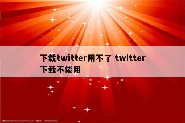 下载twitter用不了 twitter下载不能用