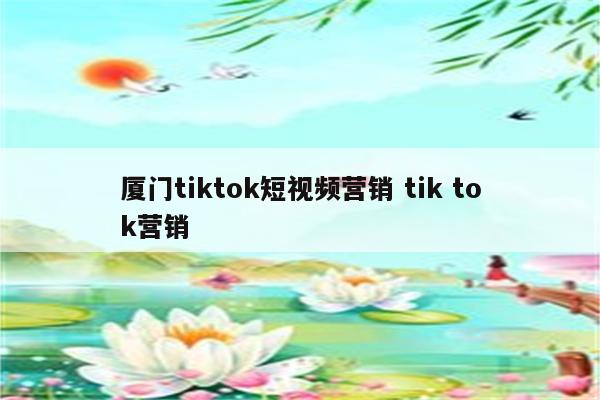 厦门tiktok短视频营销 tik tok营销