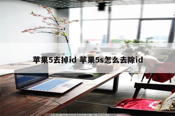 苹果5去掉id 苹果5s怎么去除id