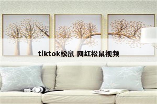 tiktok松鼠 网红松鼠视频