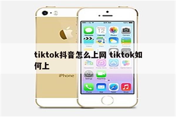 tiktok抖音怎么上网 tiktok如何上