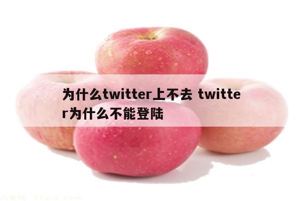 为什么twitter上不去 twitter为什么不能登陆