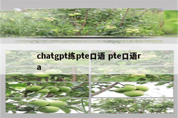 chatgpt练pte口语 pte口语ra