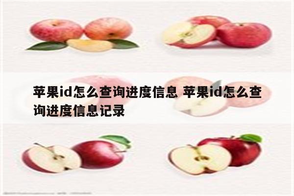 苹果id怎么查询进度信息 苹果id怎么查询进度信息记录