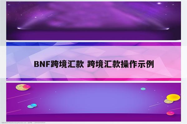 BNF跨境汇款 跨境汇款操作示例