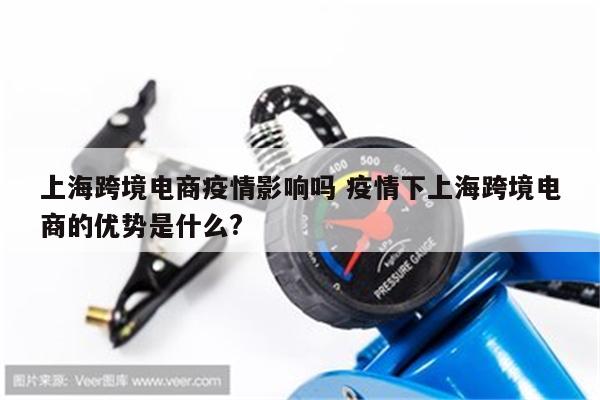 上海跨境电商疫情影响吗 疫情下上海跨境电商的优势是什么?