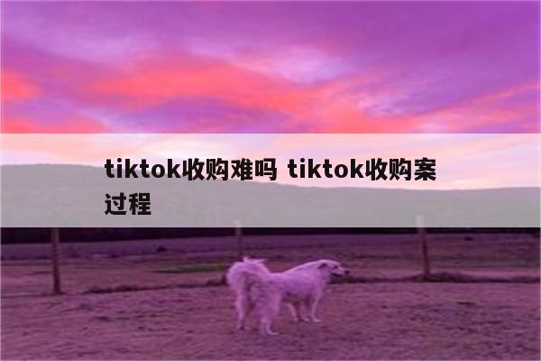 tiktok收购难吗 tiktok收购案过程